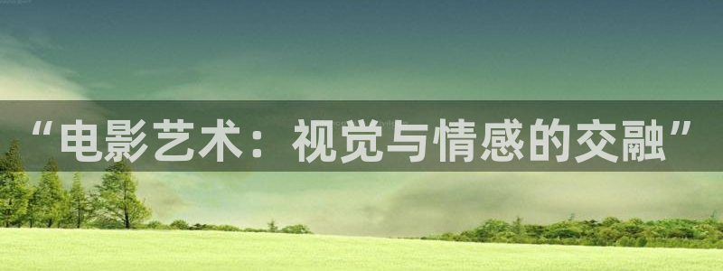 播放樱桃视频：“电影艺术：视觉与情感的交融”