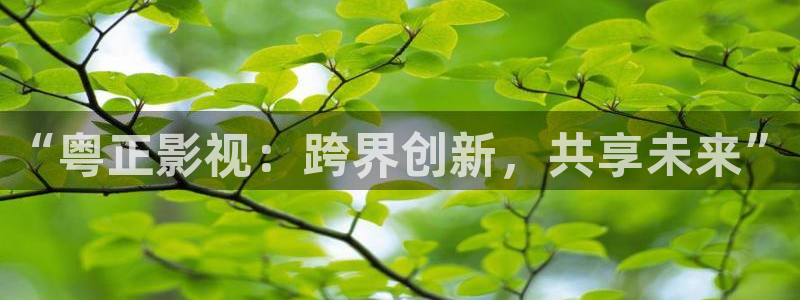 樱桃免费完整版在线观看：“粤正影视：跨界创新，共享未来”