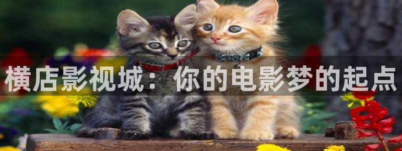樱桃水果酒的制作方法视频：横店影视城：你的电影梦的起点