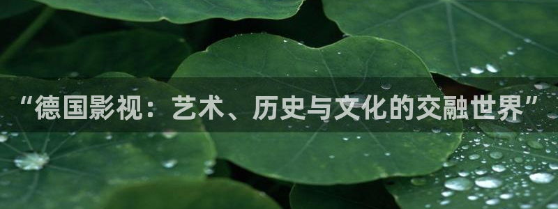 樱桃电影版苗圃：“德国影视：艺术、历史与文化的交融世界”