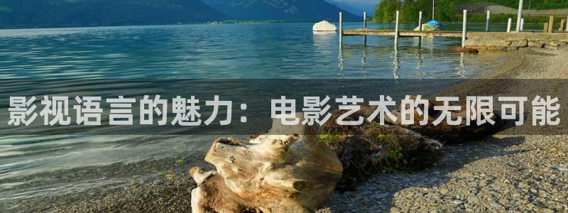 樱桃3.0：影视语言的魅力：电影艺术的无限可能