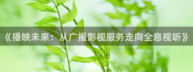 安徽樱桃：《播映未来：从广播影视服务走向全息视听》