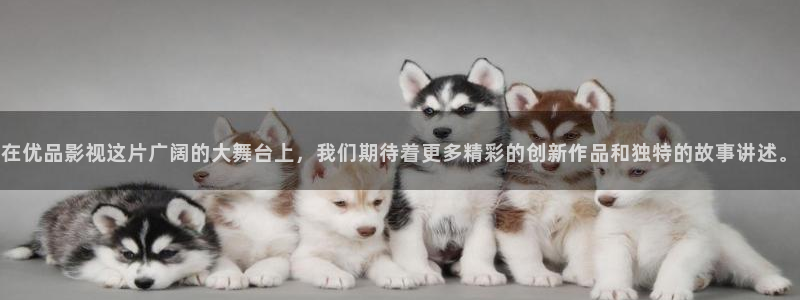 樱桃视频资源：在优品影视这片广阔的大舞台上，我们期待着更多精彩的创新作品和独特的故事讲述。