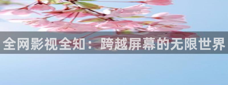 樱桃影院视频区：全网影视全知：跨越屏幕的无限世界