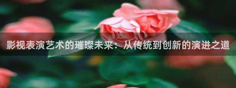 樱桃视频网站入口在线观看：影视表演艺术的璀璨未来：从传统到创新的演进之道